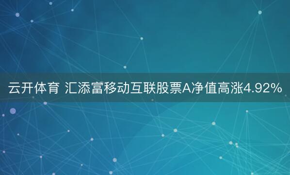 云开体育 汇添富移动互联股票A净值高涨4.92%