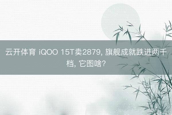 云开体育 iQOO 15T卖2879, 旗舰成就跌进两千档, 它图啥?