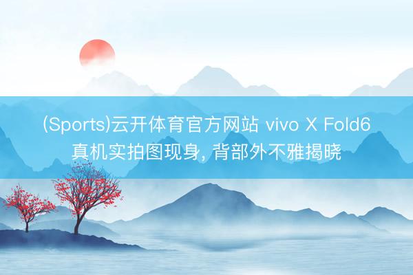 (Sports)云开体育官方网站 vivo X Fold6真机实拍图现身, 背部外不雅揭晓