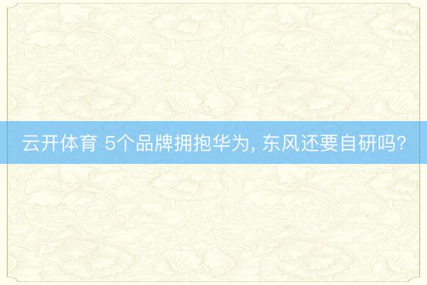 云开体育 5个品牌拥抱华为, 东风还要自研吗?