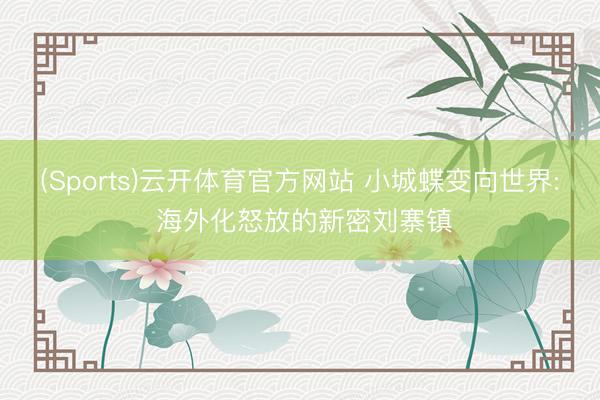(Sports)云开体育官方网站 小城蝶变向世界: 海外化怒放的新密刘寨镇