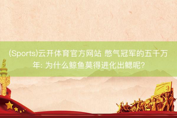 (Sports)云开体育官方网站 憋气冠军的五千万年: 为什么鲸鱼莫得进化出鳃呢?