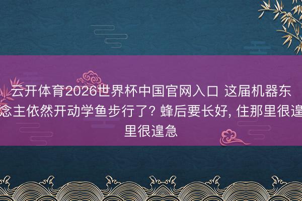 云开体育2026世界杯中国官网入口 这届机器东说念主依然开动学鱼步行了? 蜂后要长好, 住那里很遑急