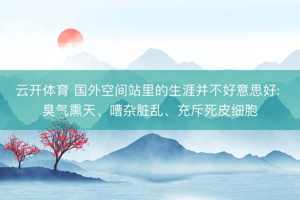 云开体育 国外空间站里的生涯并不好意思好: 臭气熏天、嘈杂脏乱、充斥死皮细胞