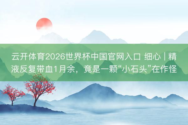 云开体育2026世界杯中国官网入口 细心 | 精液反复带血1月余,竟是一颗“小石头”在作怪