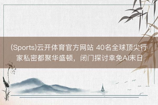 (Sports)云开体育官方网站 40名全球顶尖行家私密都聚华盛顿，闭门探讨幸免AI末日